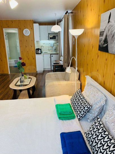 1-к. квартира, 25 м², 1/1 эт.