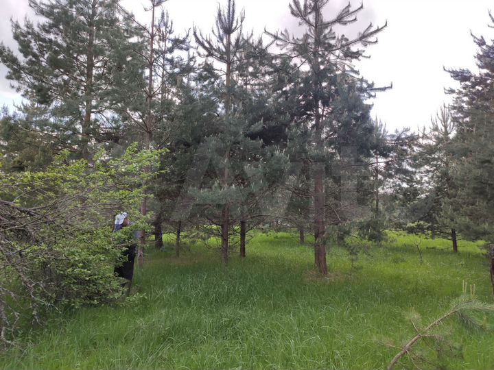 Дом 45,8 м² на участке 15 сот.