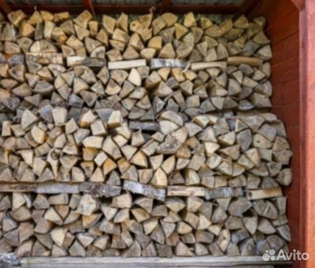 Дрова береза