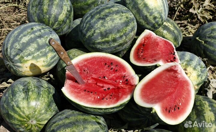 Арбузы