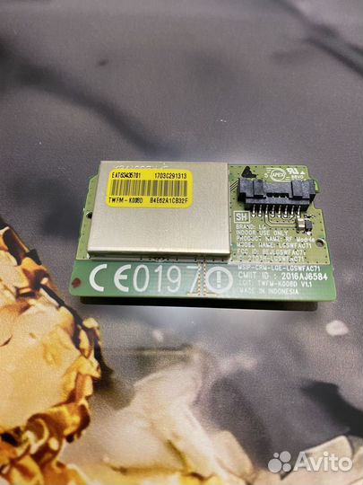 Lgswfac71 EAT63435701