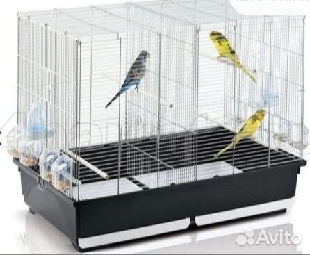 Клетка iMac Tasha с перегородкой