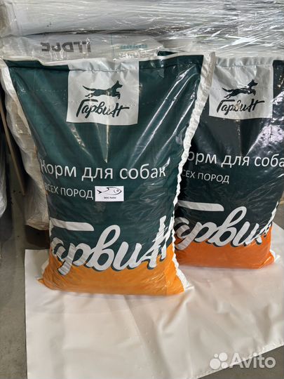 Сухой корм для собак