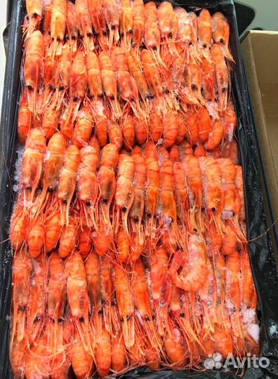 Оптом Креветки