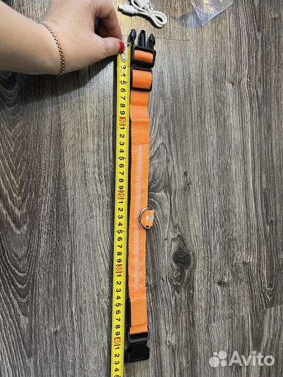 Светящиеся ошейники для животных