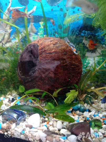 Грот для аквариума