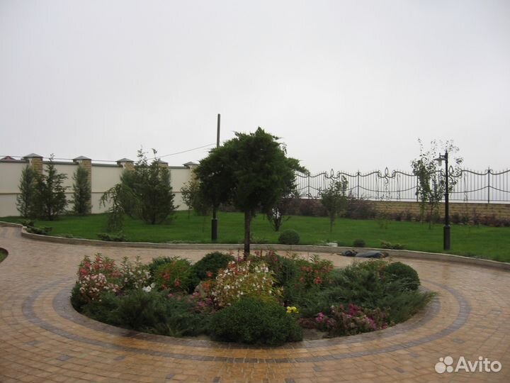 Рулонный газон от Крымского производителя