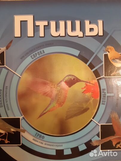 Удивительный мир росмэн насекомые, птицы, космос