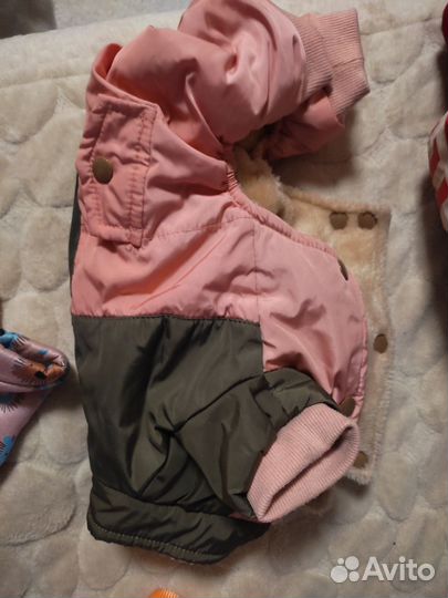 Одежда для собак мелких пород