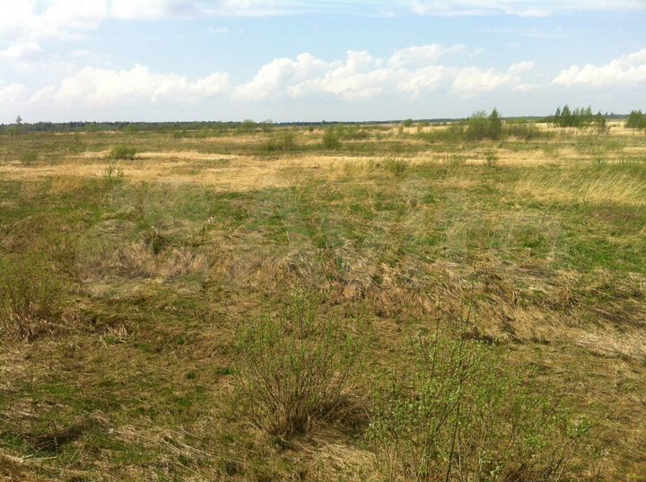 Участок 36 га (СНТ, ДНП)