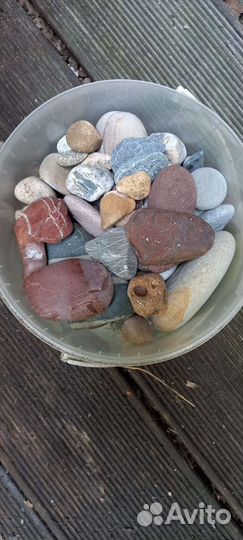 Морские ракушки и камушки