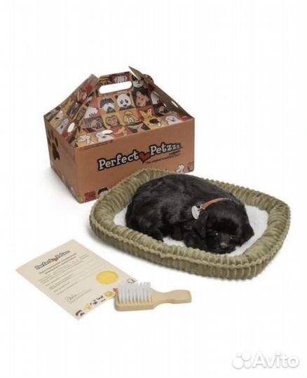 Щенок лабрадора с дыханием Perfect Petzzz