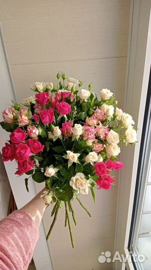 Кустовые розы микс