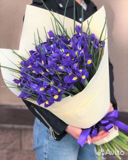 Большие Букеты из Свежих Ирисов с Доставкой