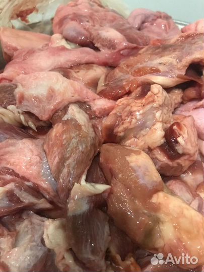 Мясо для собак