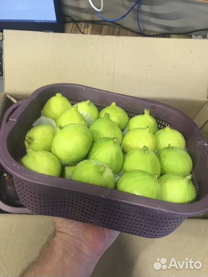 Свежий инжир из Армении (только авиа) регион мегри