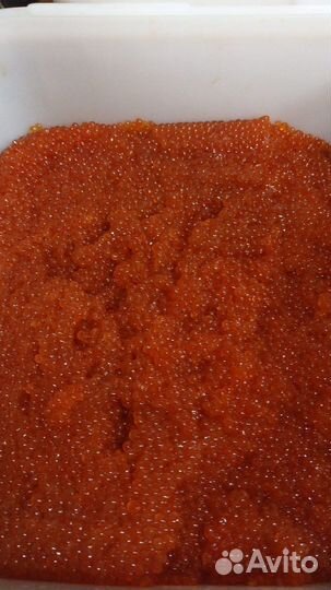 Красная икра