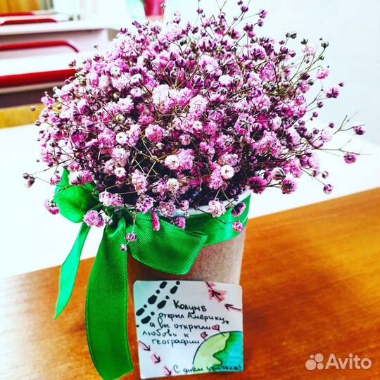 Репетитор по географии. Огэ и Егэ