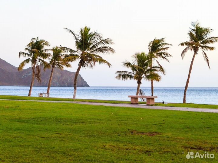 Voyage в Фуджейру 7 ночей