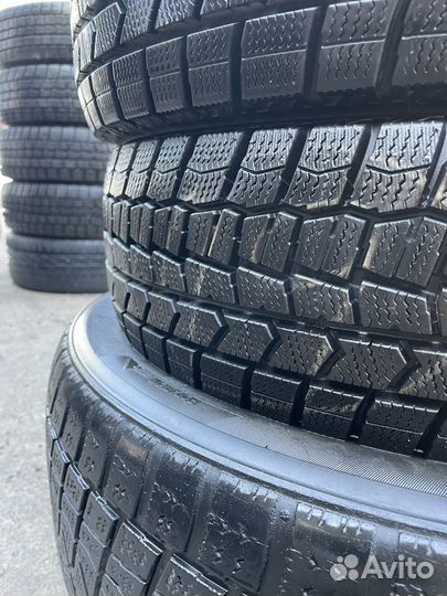 Dunlop Winter Maxx WM02 175/70 R14