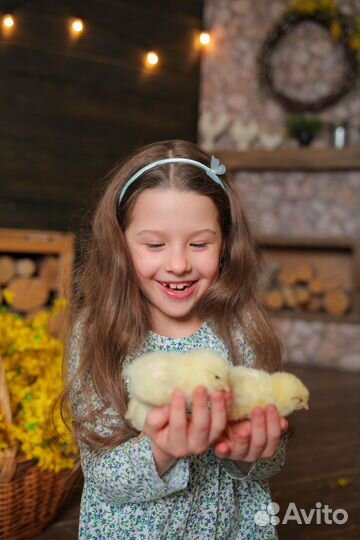 Фотограф ростов на дону