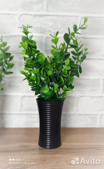 Искусственная зелень трава осока в кашпо