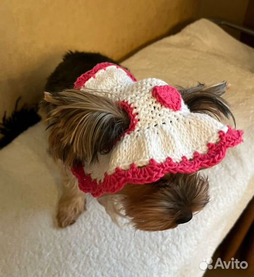 Шляпка Панамка для собак