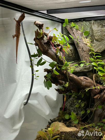 Террариум хабитат Exo-Terra 60*45*45