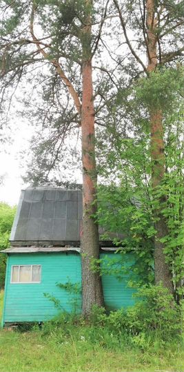 Дом 41,6 м² на участке 7,8 сот.