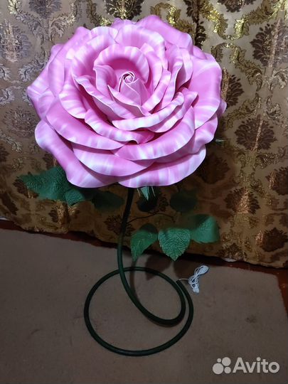 Роза-ночник