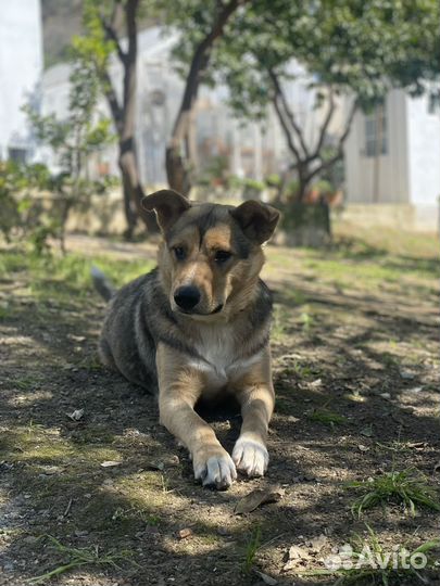 Милая девочка Буся)