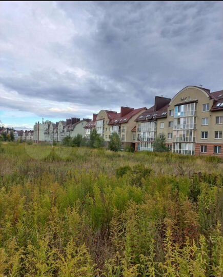 Участок 65 сот. (ИЖС)