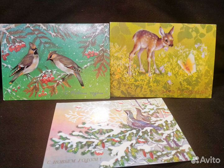 Открытки СССР, Зарубин, и др