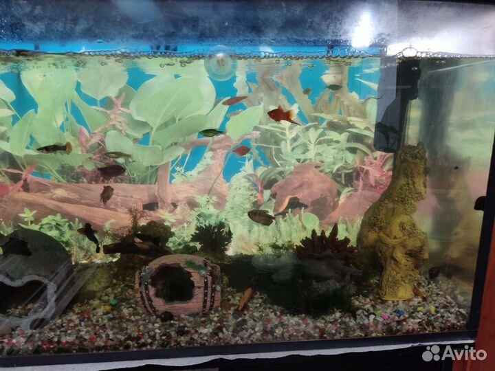 Аквариум с тумбой