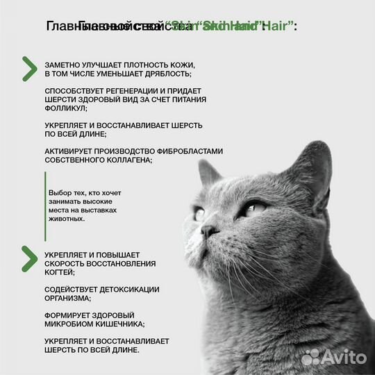 Лакомство для кошек в корм. Кожа и шерсть