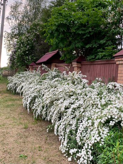 Дом 250 м² на участке 20 сот.