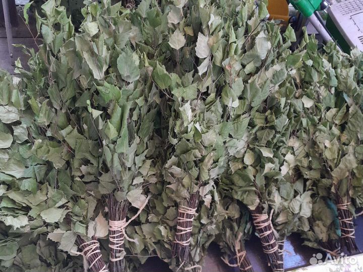 Березовые веники