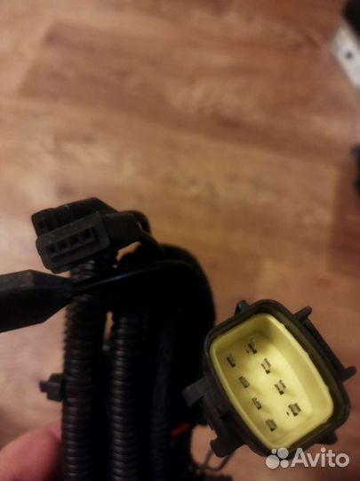 Жгут проводов датчиков парковки