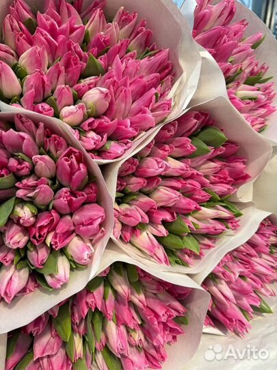 Тюльпаны оптом