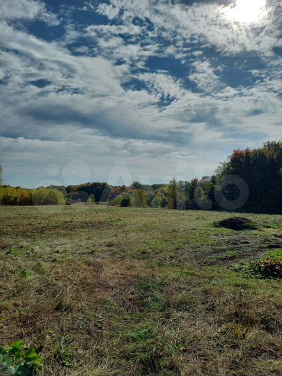 Участок 1,15 га (ИЖС)