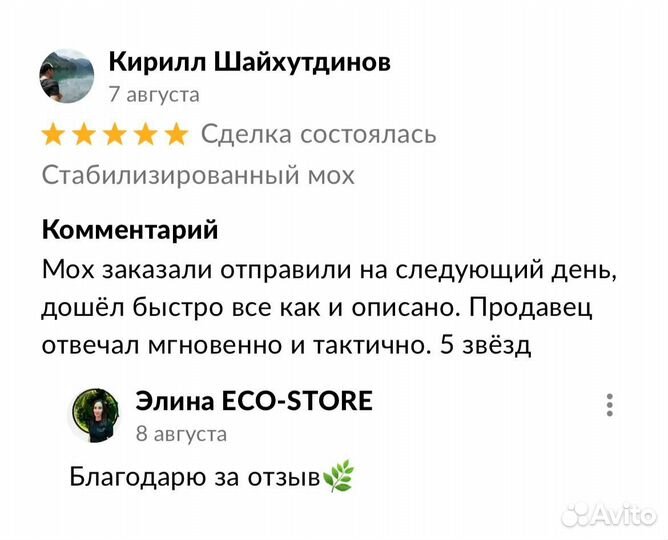 Зеркало со мхом пластиковая рамка