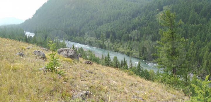 Участок 100 сот. (СНТ, ДНП)