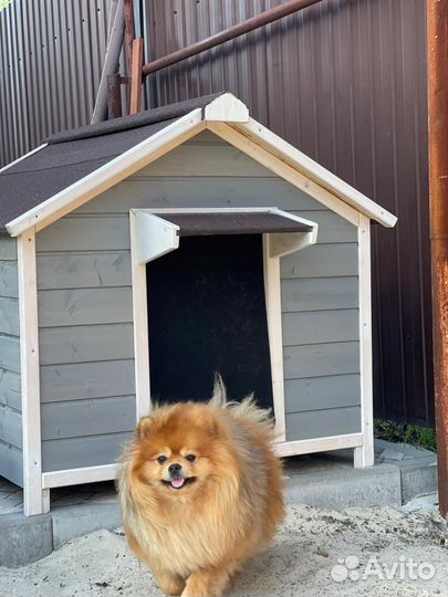 Будка для крупной собаки
