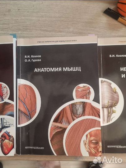Методические пособия по анатомии