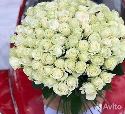 Высокие розы Гигантские розы с доставкой