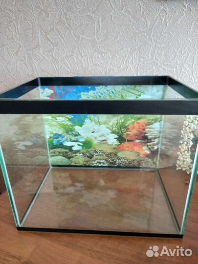 Аквариум