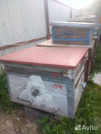 Ульи дадановские, лежаки, рамки, сушь