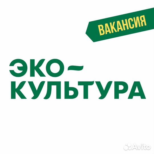 Инспектор контроллер