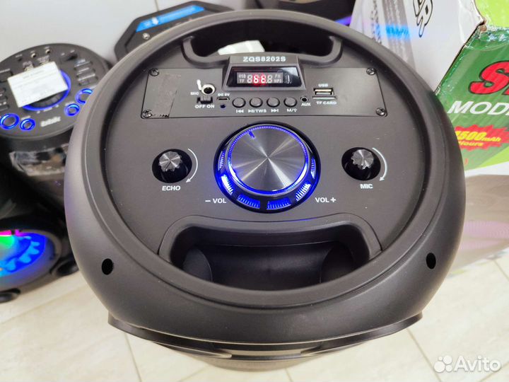 Большая колонка с караоке и светомузыкой (Окт139)