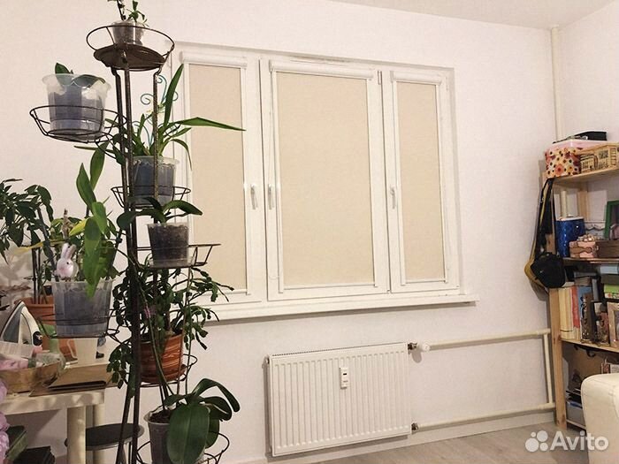 Шторы рулонные, жалюзи